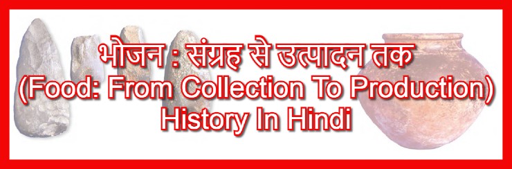 (भोजन : संग्रह से उत्पादन तक -Food: From Collection To Production History In Hindi Language)