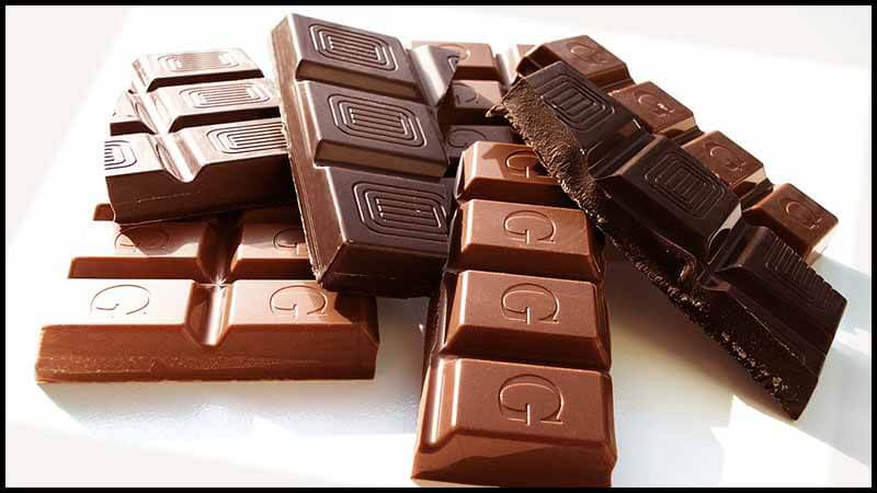 चॉकलेट का इतिहास (History of Chocolate)