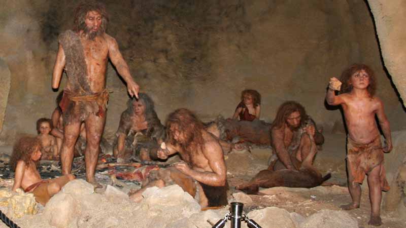 निएंडरथल का इतिहास (History of Neanderthals)
