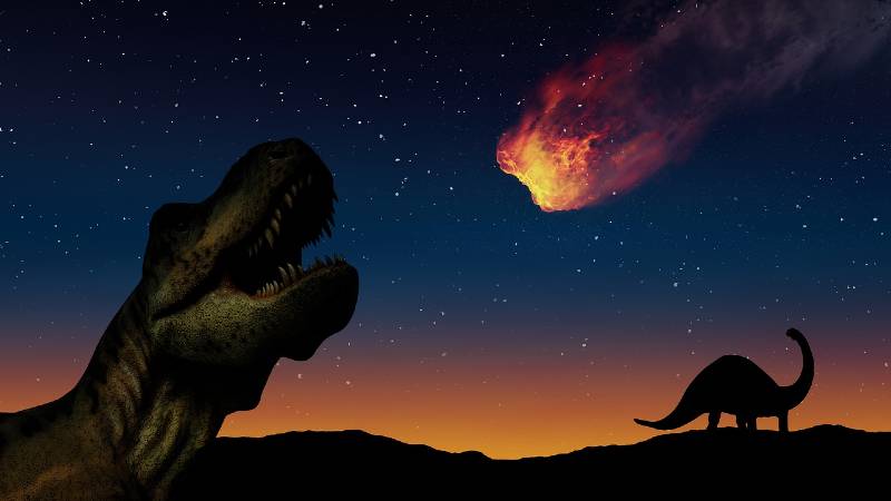 डायनासोर का इतिहास (History of Dinosaurs)
