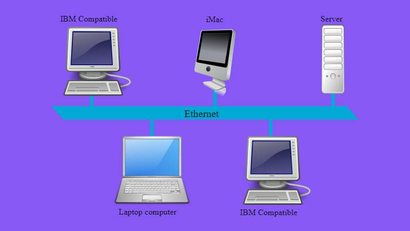 Local Area Network (LAN) -1