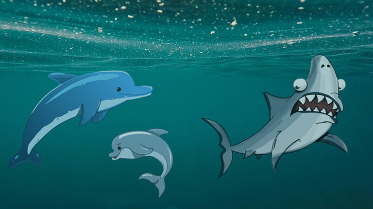 शार्क डॉल्फ़िन से क्यों डरते हैं? Why are Sharks Afraid of Dolphins?