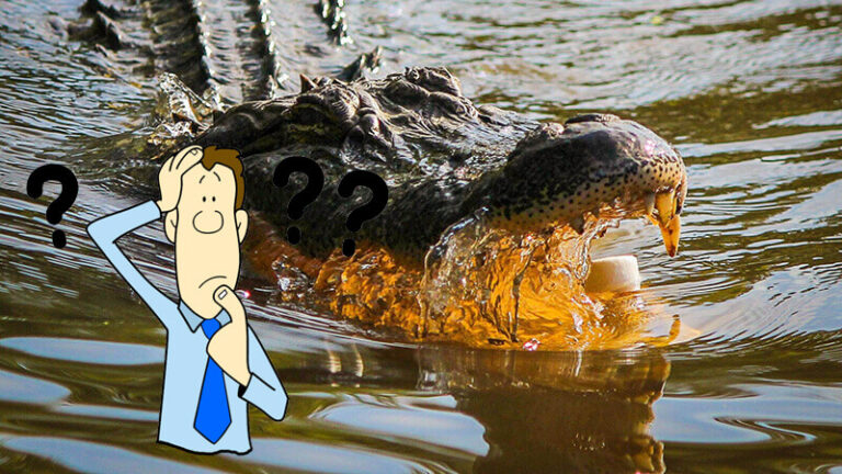 क्या होगा अगर एक मगरमच्छ आपको काटता है? (What if a crocodile bites you?)